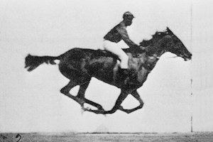 Early moving picture experiment by Eadweard Muybridge, shown as an animated sequence.